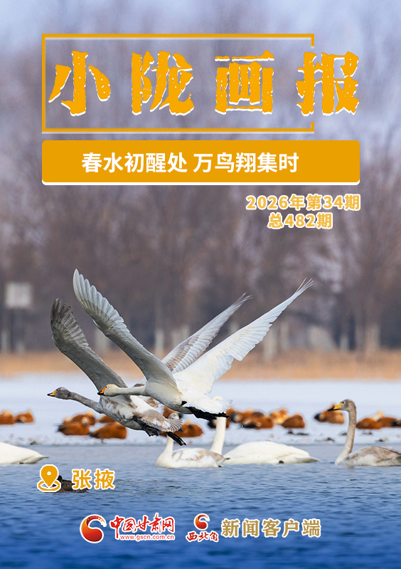 【小陇画报·482期】张掖：春水初醒处 万鸟翔集时